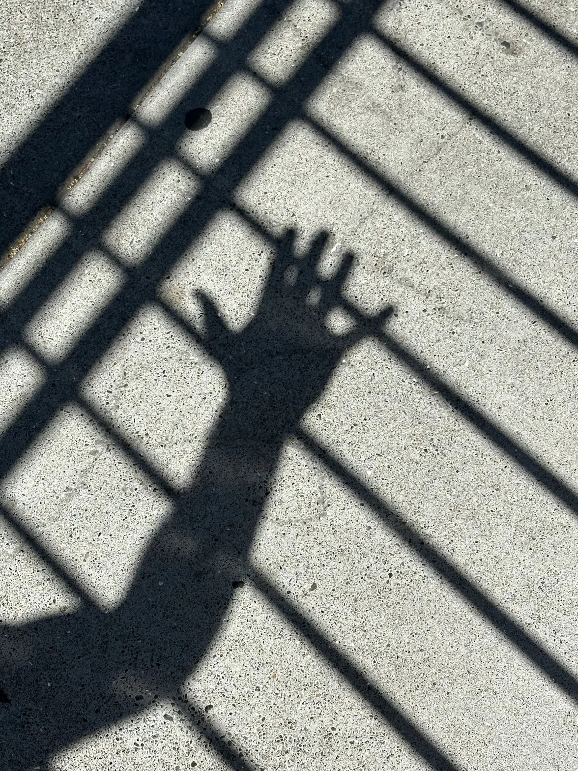 Hand shadow on herringbone concrete